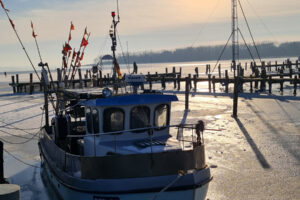 Rerik – Hafen im Winter